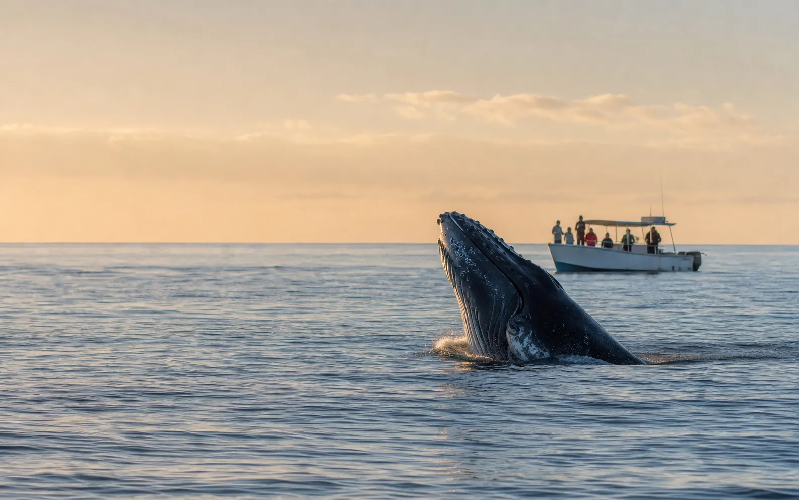 Océano abierto en Bahía de La Ventana